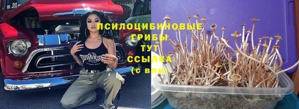 spice Балахна