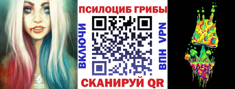 Галлюциногенные грибы GOLDEN TEACHER  дарнет шоп  Усть-Джегута 